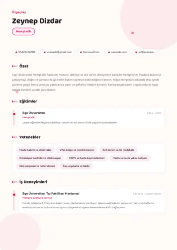  cv indir